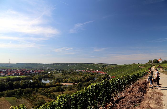 Franken Wanderung zur Vogelsburg Fränkisches Weinland Wein